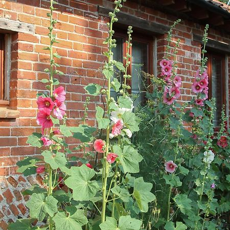 Elm Tree Barn Villa Felmingham Bagian luar foto